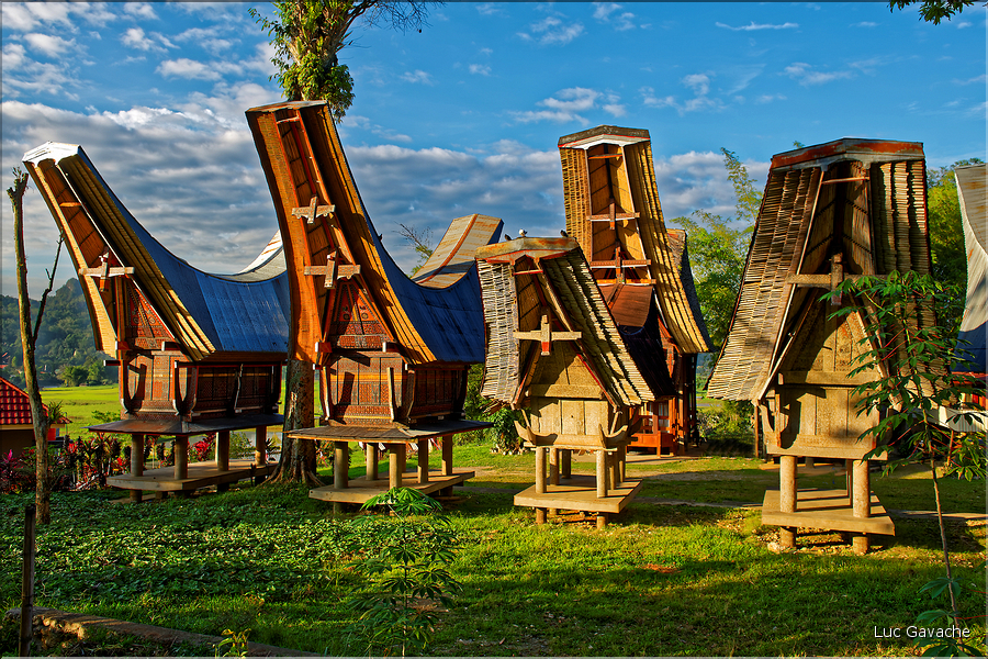 Les très originales maisons Toraja qui semblent rappeler les cornes des buffles (Rantepao). (6)