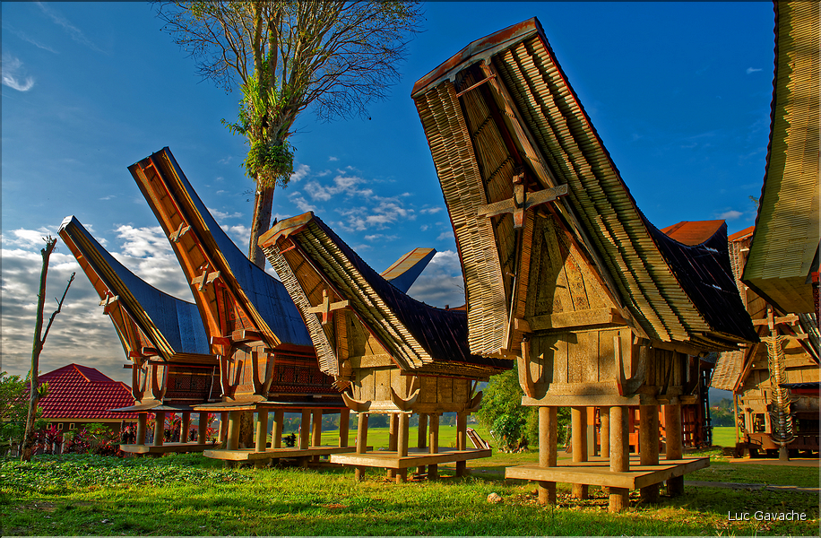 Les très originales maisons Toraja qui semblent rappeler les cornes des buffles (Rantepao). (7)