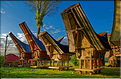 Les très originales maisons Toraja qui semblent rappeler les cornes des buffles (Rantepao). (7)