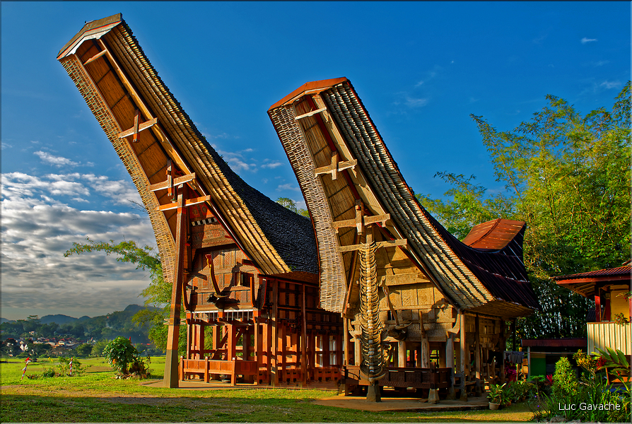 Les très originales maisons Toraja qui semblent rappeler les cornes des buffles (Rantepao). (8)