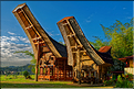 Les très originales maisons Toraja qui semblent rappeler les cornes des buffles (Rantepao). (8)