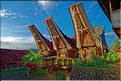 Les très originales maisons Toraja qui semblent rappeler les cornes des buffles (Rantepao). (9)