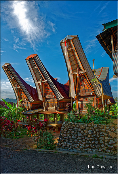Les très originales maisons Toraja qui semblent rappeler les cornes des buffles (Rantepao). (10)