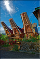 Les très originales maisons Toraja qui semblent rappeler les cornes des buffles (Rantepao). (10)