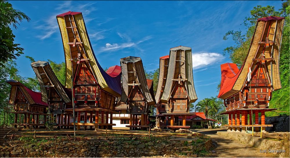 Les très originales maisons Toraja qui semblent rappeler les cornes des buffles (Rantepao). (12)
