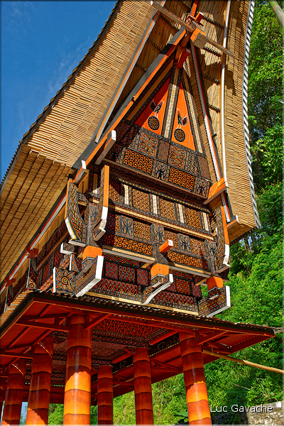 Les très originales maisons Toraja qui semblent rappeler les cornes des buffles (Rantepao). (14)