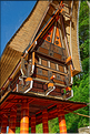 Les très originales maisons Toraja qui semblent rappeler les cornes des buffles (Rantepao). (14)
