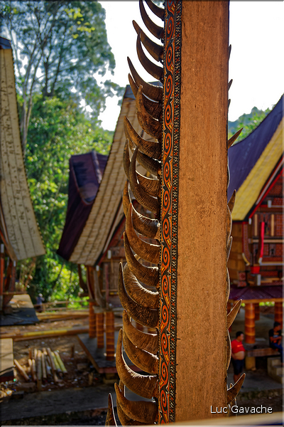 Les très originales maisons Toraja qui semblent rappeler les cornes des buffles (Rantepao). (18)