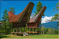 Les très originales maisons Toraja qui semblent rappeler les cornes des buffles (Rantepao). (22)
