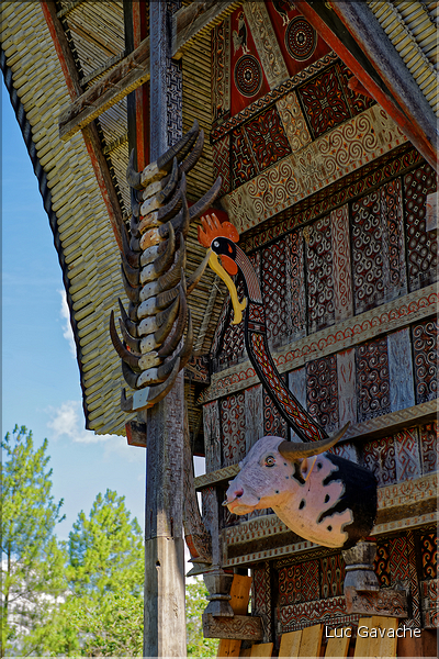 Les très originales maisons Toraja qui semblent rappeler les cornes des buffles (Rantepao). (23)
