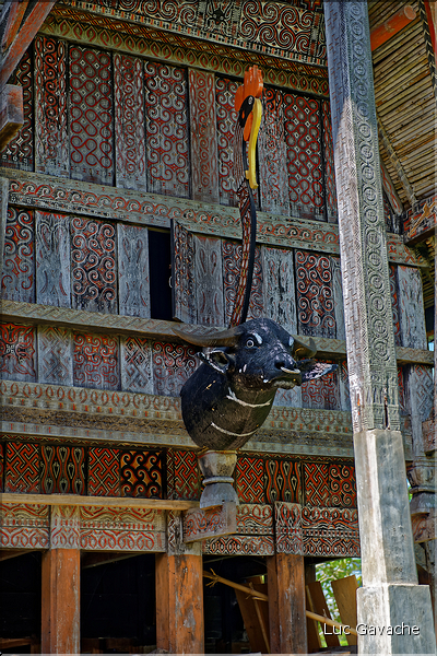 Les très originales maisons Toraja qui semblent rappeler les cornes des buffles (Rantepao). (24)