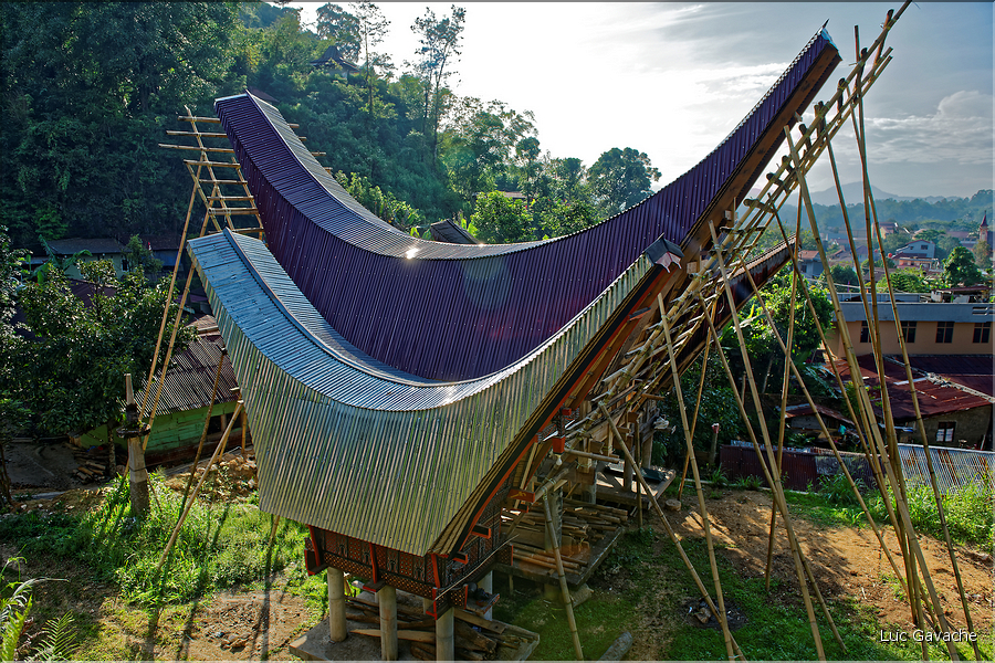 Maison Toraja en cours de construction (Rantepao).