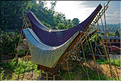 Maison Toraja en cours de construction (Rantepao).
