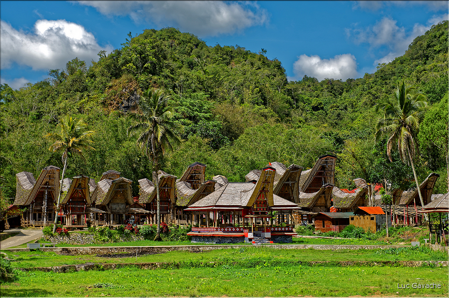 Le très pittoresque village de Kete Kesu, avec face aux maisons les greniers à riz. (1)