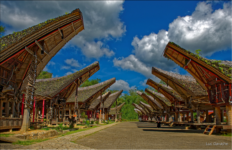 Le très pittoresque village de Kete Kesu, avec face aux maisons les greniers à riz. (3)