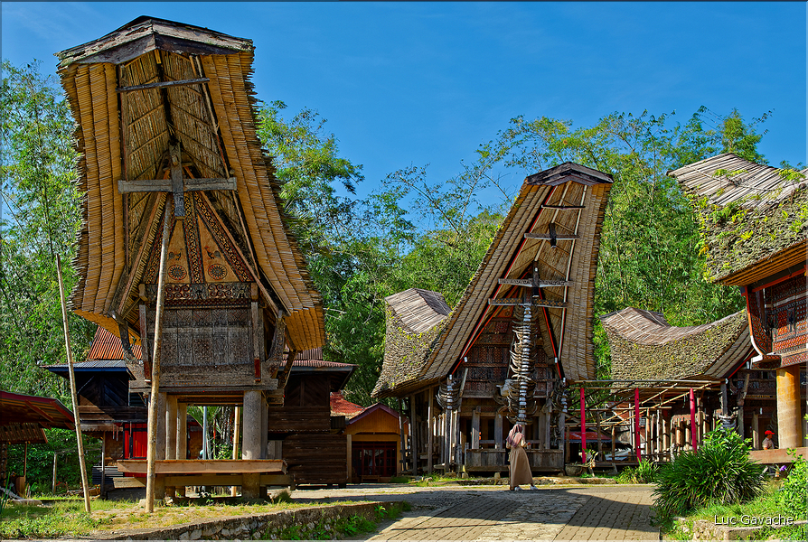 Le très pittoresque village de Kete Kesu, avec face aux maisons les greniers à riz. (5)