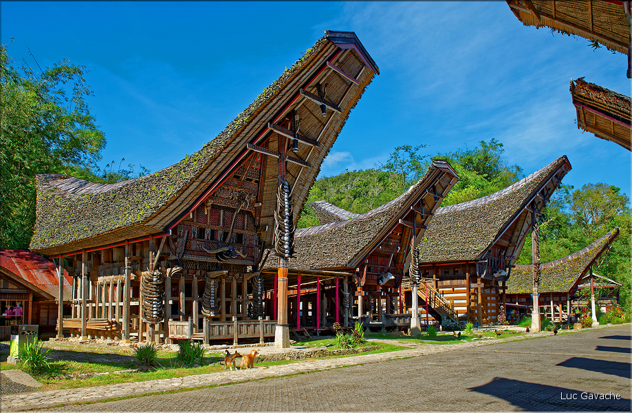 Le très pittoresque village de Kete Kesu, avec face aux maisons les greniers à riz. (13)