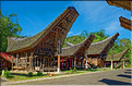 Le très pittoresque village de Kete Kesu, avec face aux maisons les greniers à riz. (13)