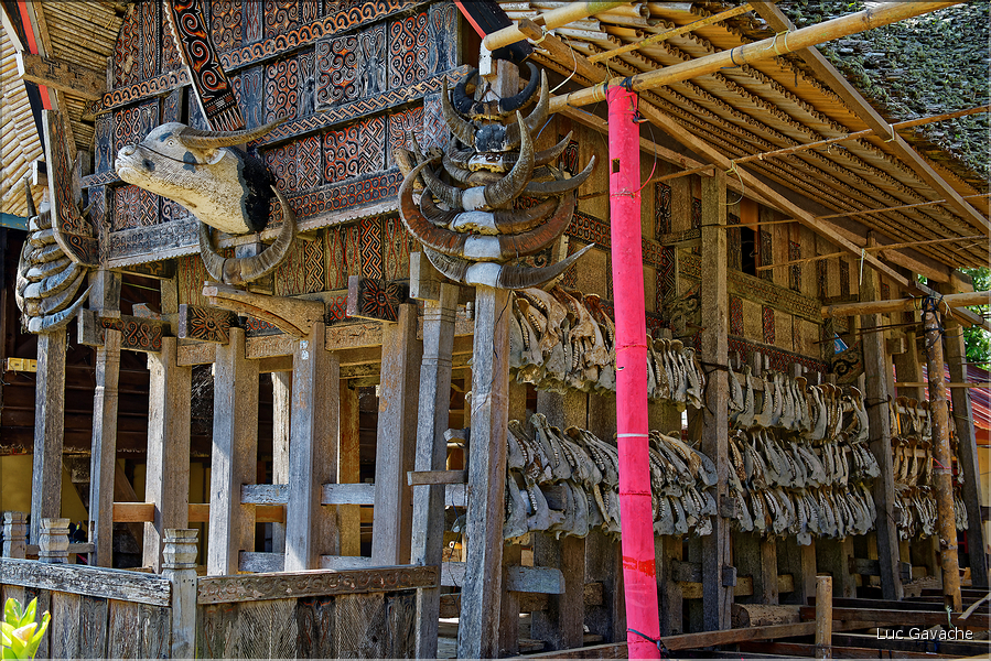 Le très pittoresque village de Kete Kesu, avec face aux maisons les greniers à riz. (14)