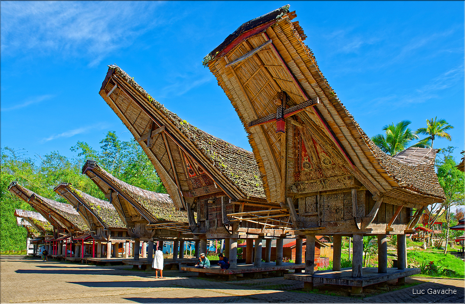Le très pittoresque village de Kete Kesu, avec face aux maisons les greniers à riz. (16)