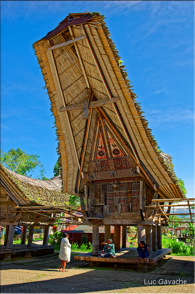 Le très pittoresque village de Kete Kesu, avec face aux maisons les greniers à riz. (18)