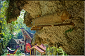 La falaise qui borde Kete Kesu abrite également un cimetière Toraja typique. (4)