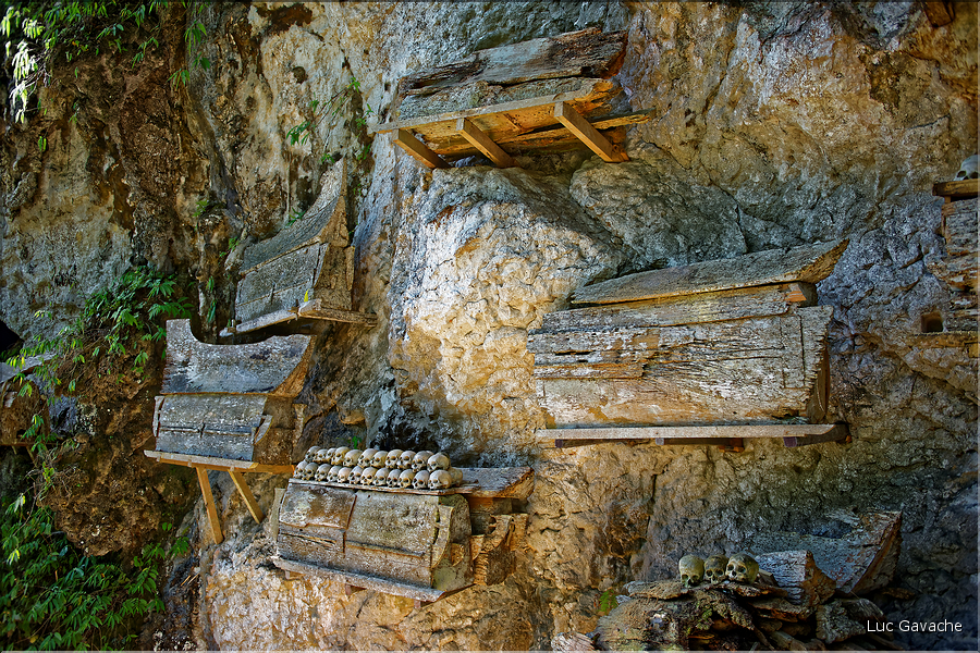 La falaise qui borde Kete Kesu abrite également un cimetière Toraja typique. (7)