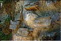 La falaise qui borde Kete Kesu abrite également un cimetière Toraja typique. (7)