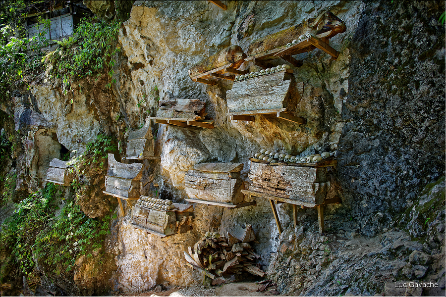 La falaise qui borde Kete Kesu abrite également un cimetière Toraja typique. (9)