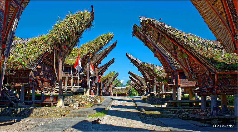 Palawa fait également parti des plus beaux villages du pays Toraja. (1)
