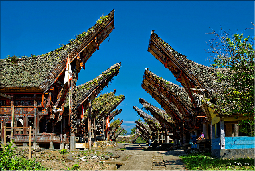 Palawa fait également parti des plus beaux villages du pays Toraja. (2)