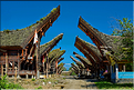 Palawa fait également parti des plus beaux villages du pays Toraja. (2)