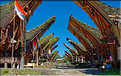 Palawa fait également parti des plus beaux villages du pays Toraja. (3)