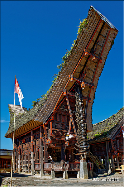 Palawa fait également parti des plus beaux villages du pays Toraja. (4)