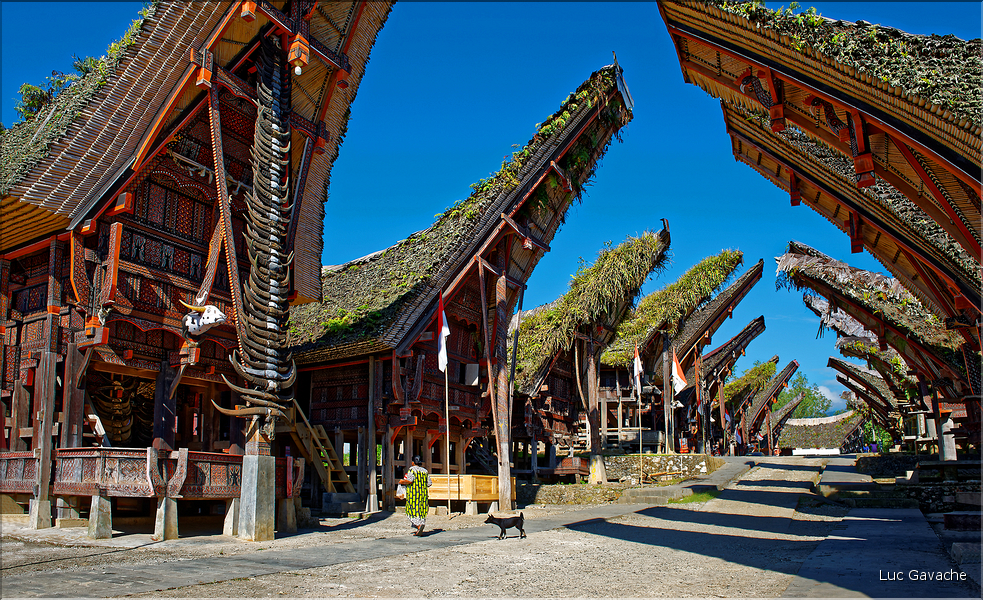 Palawa fait également parti des plus beaux villages du pays Toraja. (5)