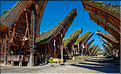 Palawa fait également parti des plus beaux villages du pays Toraja. (5)