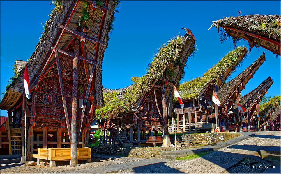 Palawa fait également parti des plus beaux villages du pays Toraja. (7)