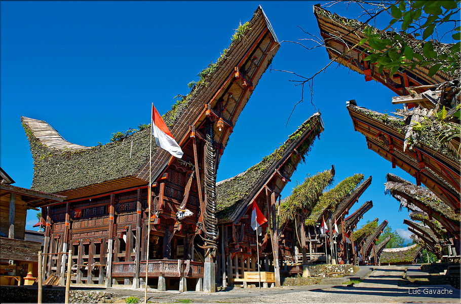 Palawa fait également parti des plus beaux villages du pays Toraja. (8)