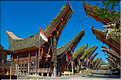Palawa fait également parti des plus beaux villages du pays Toraja. (8)