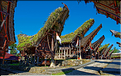 Palawa fait également parti des plus beaux villages du pays Toraja. (9)