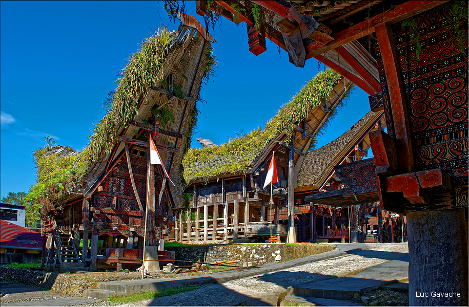 Palawa fait également parti des plus beaux villages du pays Toraja. (10)