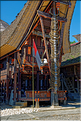 Palawa fait également parti des plus beaux villages du pays Toraja. (11)