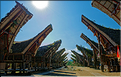 Palawa fait également parti des plus beaux villages du pays Toraja. (12)