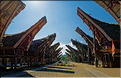Palawa fait également parti des plus beaux villages du pays Toraja. (13)