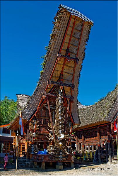 Palawa fait également parti des plus beaux villages du pays Toraja. (14)