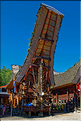 Palawa fait également parti des plus beaux villages du pays Toraja. (14)