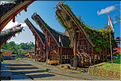 Palawa fait également parti des plus beaux villages du pays Toraja. (15)