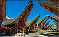 Palawa fait également parti des plus beaux villages du pays Toraja. (16)