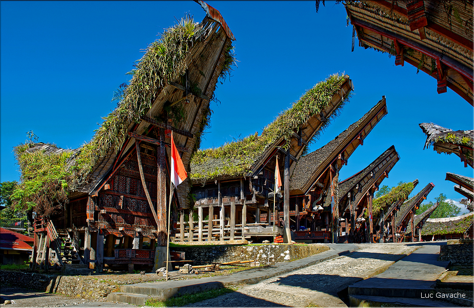 Palawa fait également parti des plus beaux villages du pays Toraja. (18)