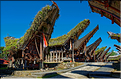 Palawa fait également parti des plus beaux villages du pays Toraja. (18)